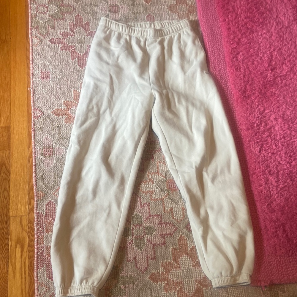 Aritzia TNA Sweatpants